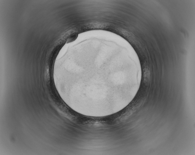 X0000110320254200906181829