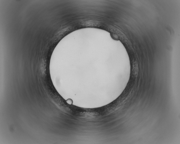 X0000110320255200906181829