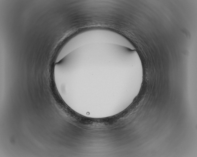 X0000110320256200906181829