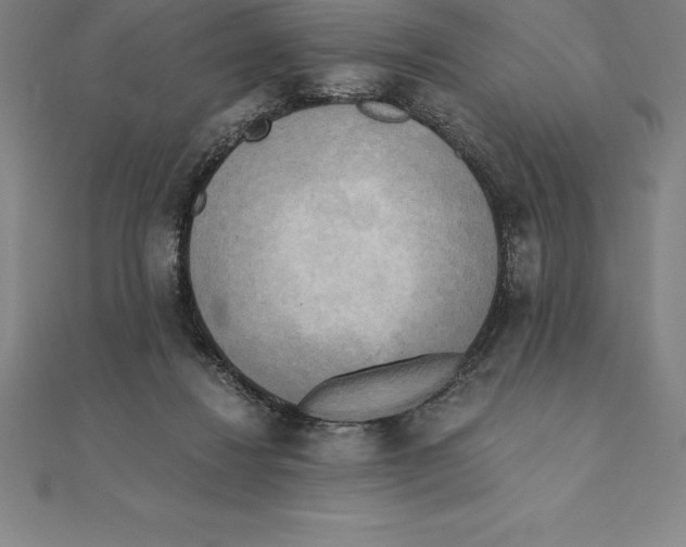 X0000110320260200906181829