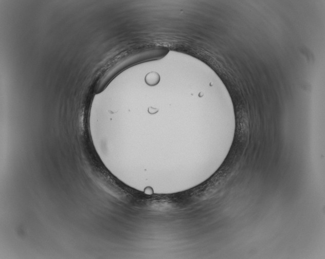 X0000110320262200906181829