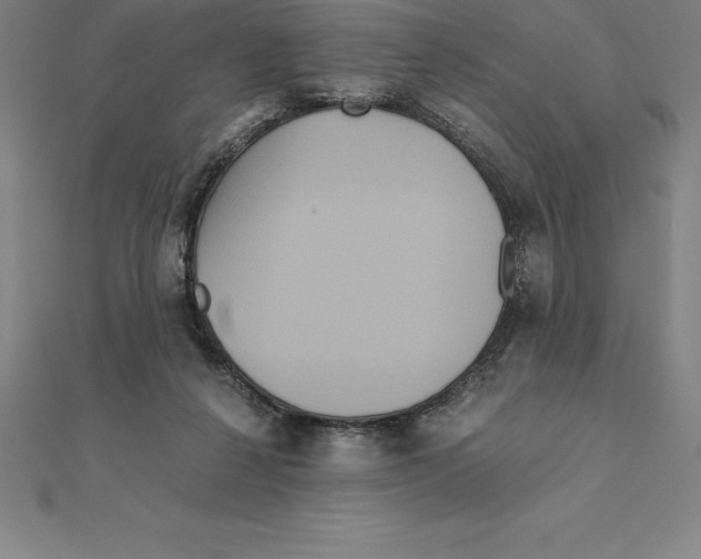 X0000110320264200906181829