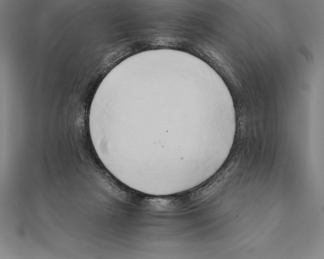 X0000110320265200906181829