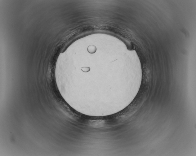 X0000110320266200906181829