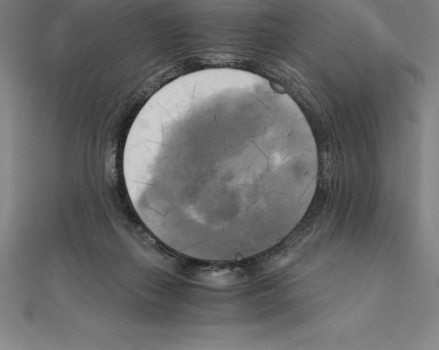 X0000110320267200906181829