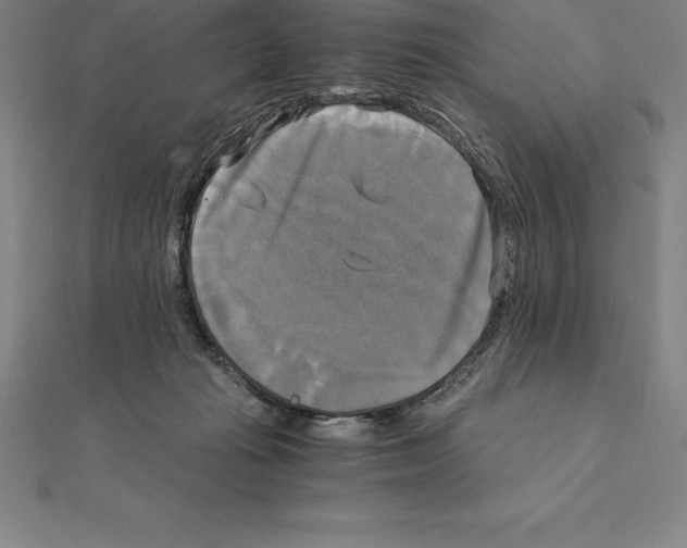 X0000110320269200906181829