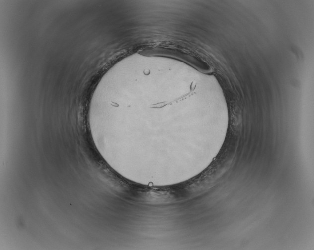 X0000110320270200906181829