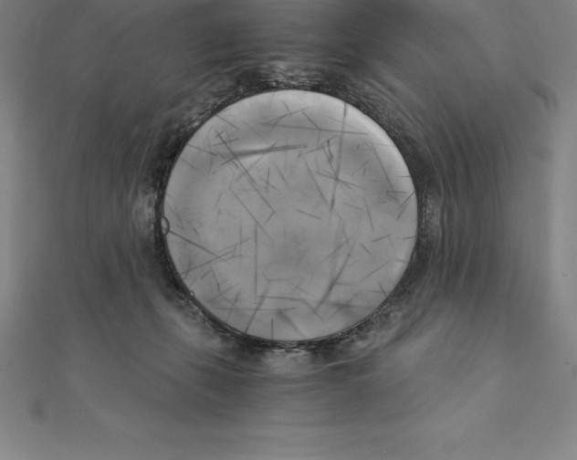 X0000110320271200906181829