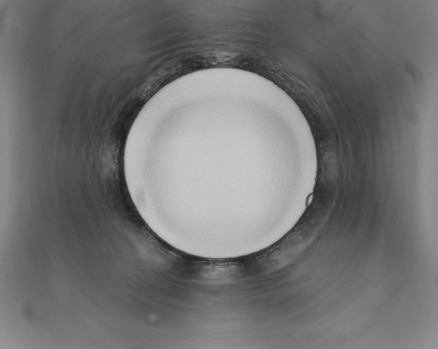 X0000110320274200906181829