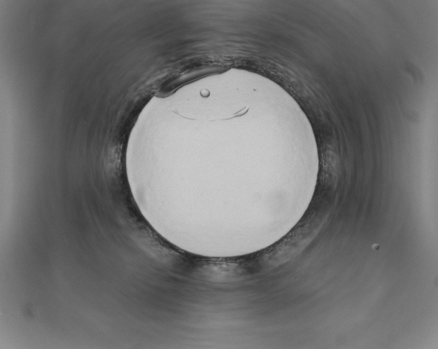 X0000110320278200906181829