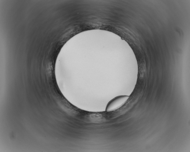 X0000110320279200906181829