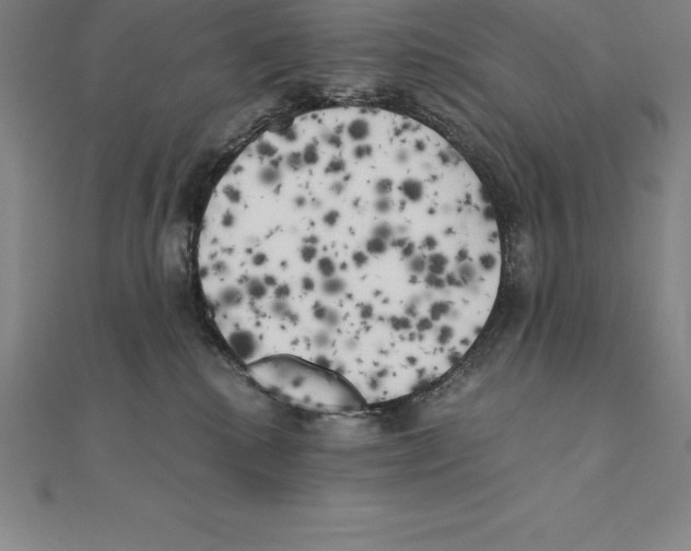 X0000110320280200906181829