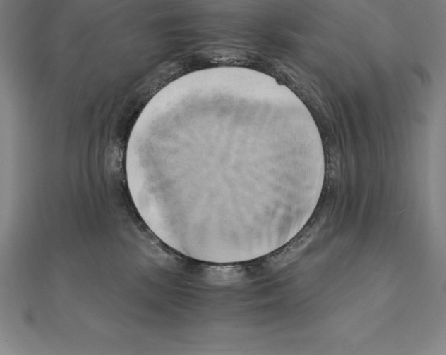 X0000110320281200906181829