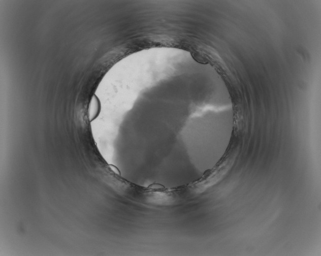 X0000110320285200906181829