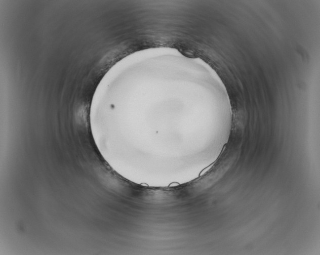 X0000110320286200906181829