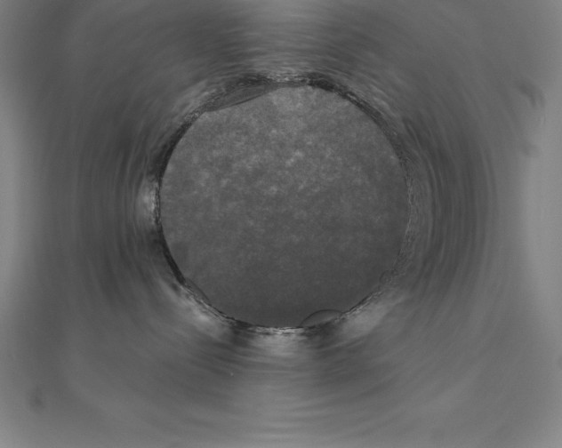 X0000110320288200906181829