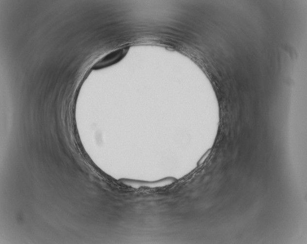 X0000110320289200906181829