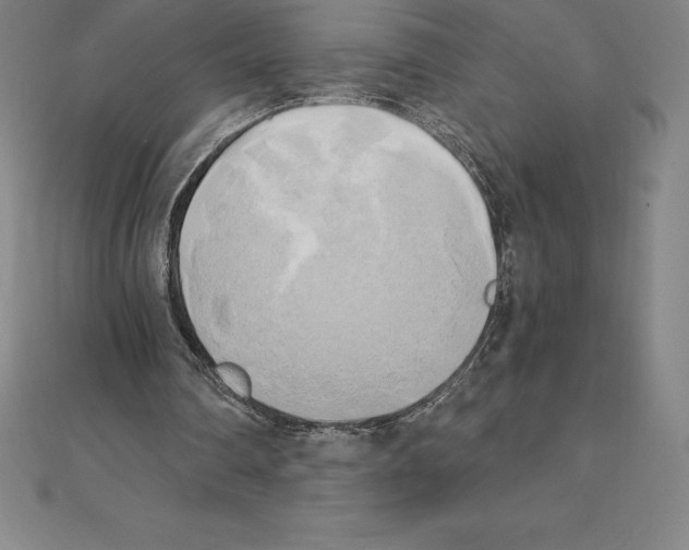 X0000110320290200906181829