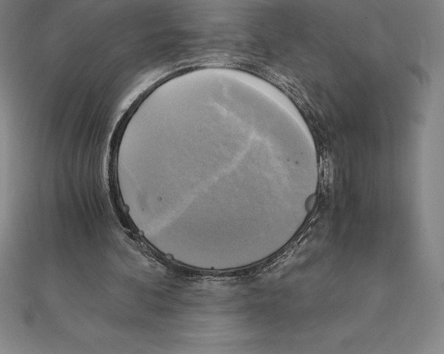 X0000110320292200906181829