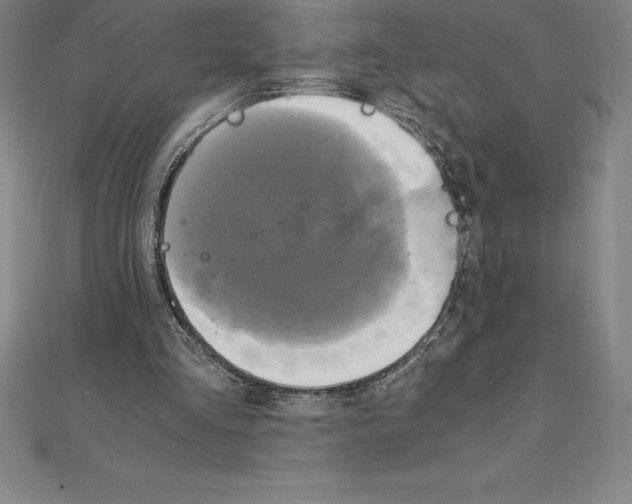 X0000110320293200906181829