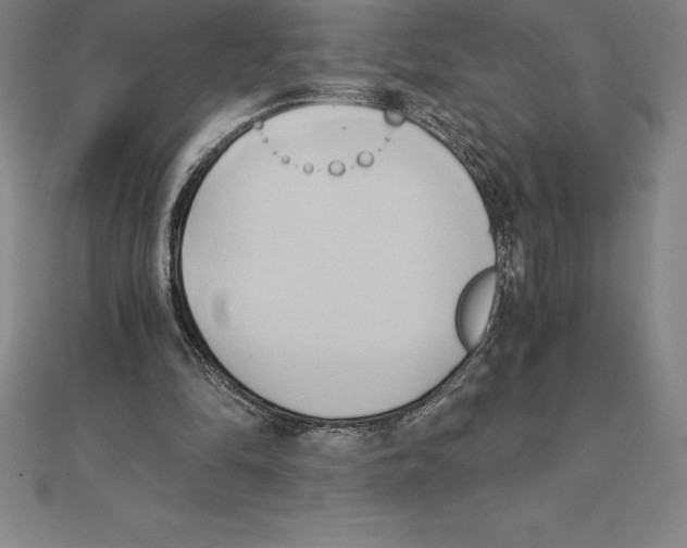 X0000110320294200906181829