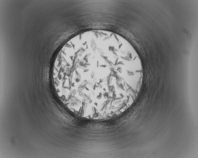 X0000110320299200906181829