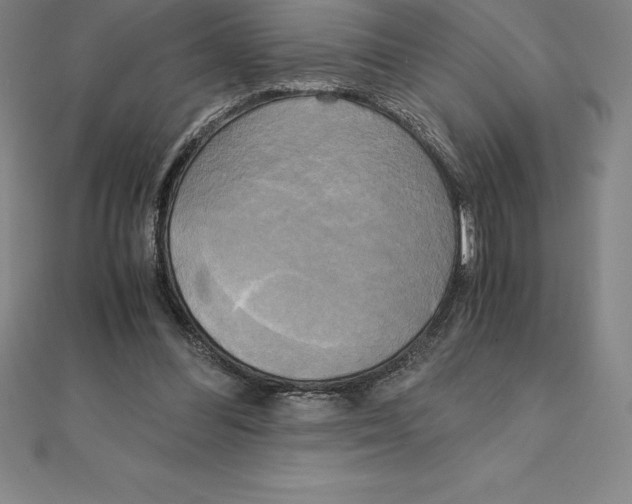 X0000110320300200906181829