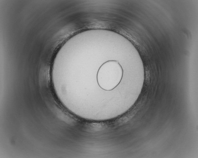 X0000110320302200906181829