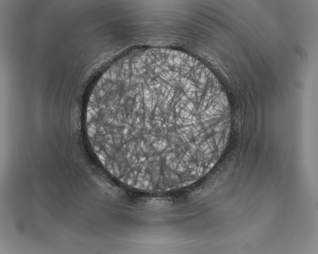 X0000110320303200906181829