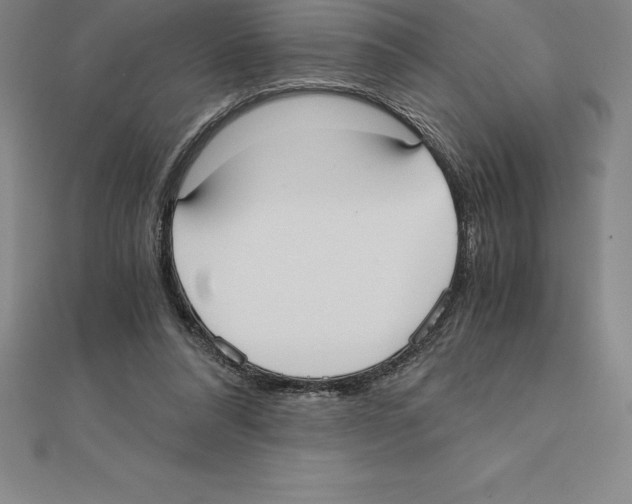 X0000110320304200906181829