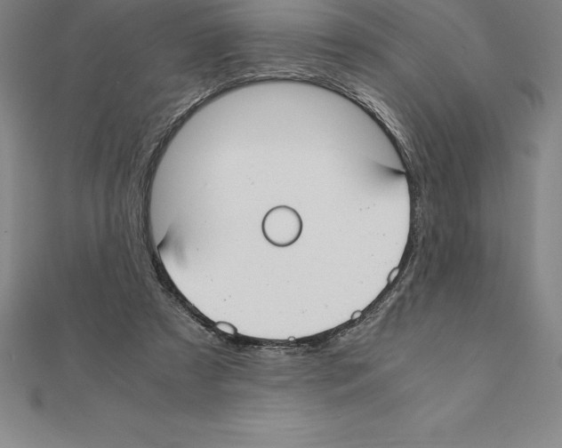 X0000110320305200906181829