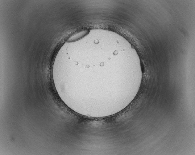 X0000110320306200906181829