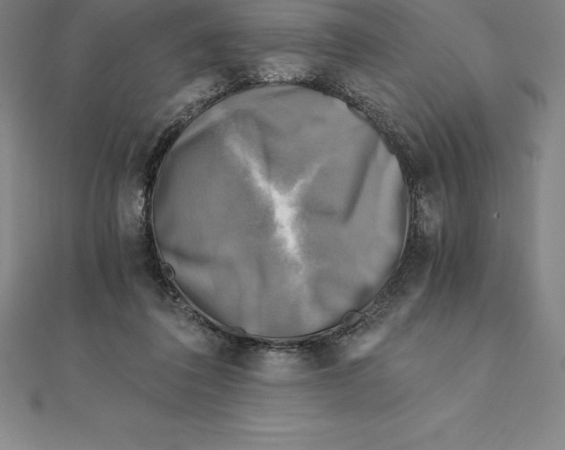 X0000110320308200906181829