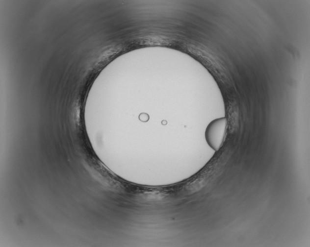 X0000110320310200906181829