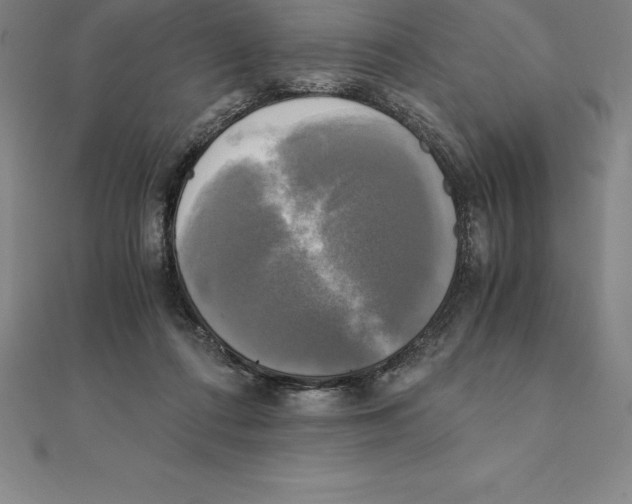 X0000110320312200906181829