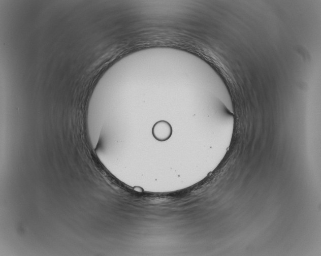 X0000110320313200906181829