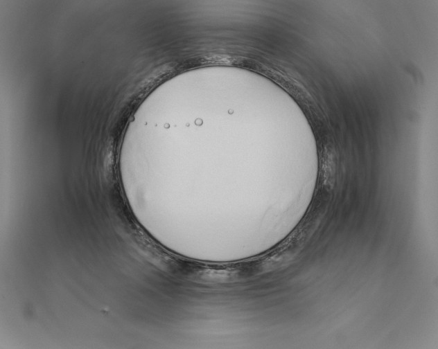 X0000110320314200906181828