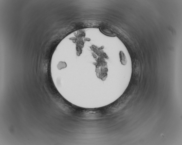 X0000110320315200906181828