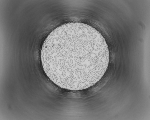 X0000110320317200906181828