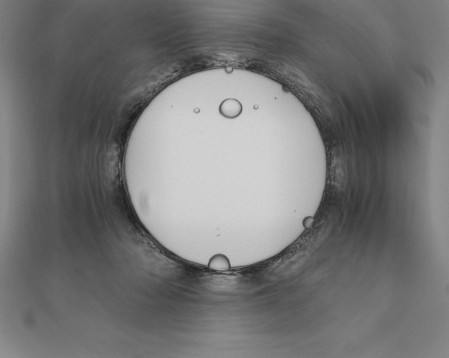 X0000110320318200906181828