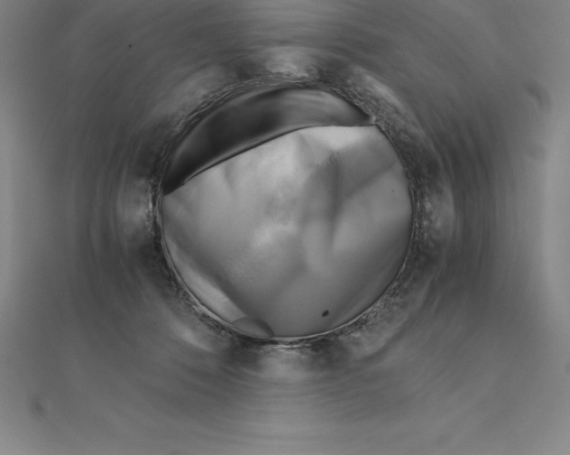 X0000110320320200906181828