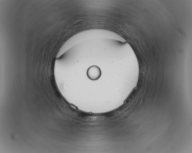 X0000110320323200906181828