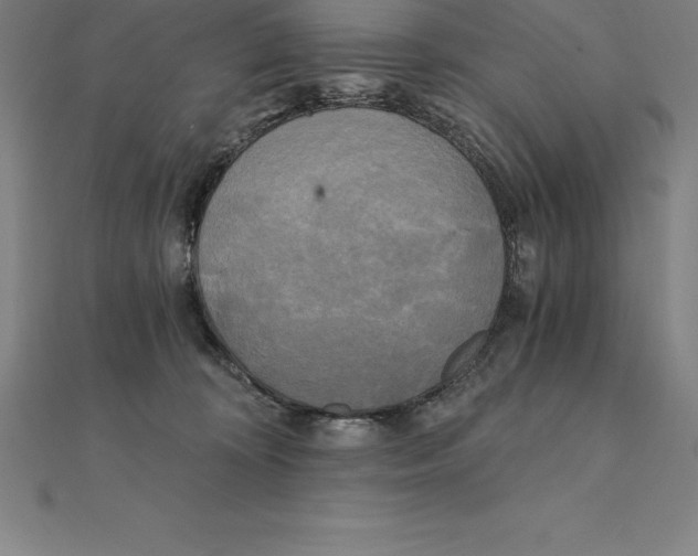 X0000110320324200906181828