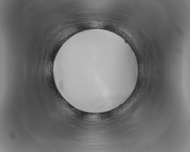 X0000110320325200906181828