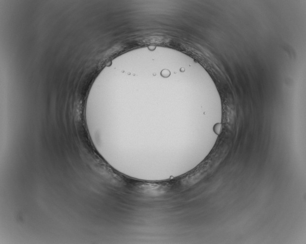 X0000110320326200906181828