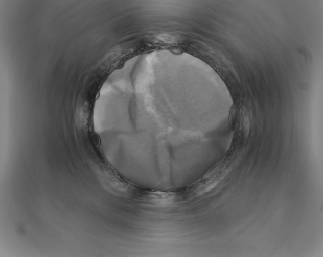 X0000110320328200906181828