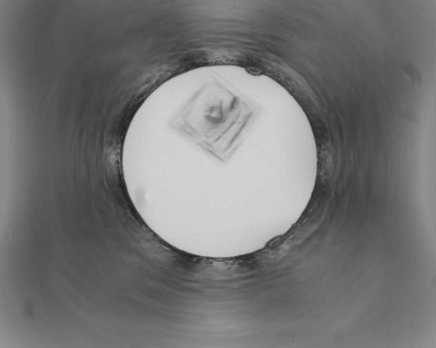 X0000110320329200906181828