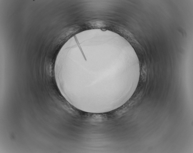 X0000110320330200906181828