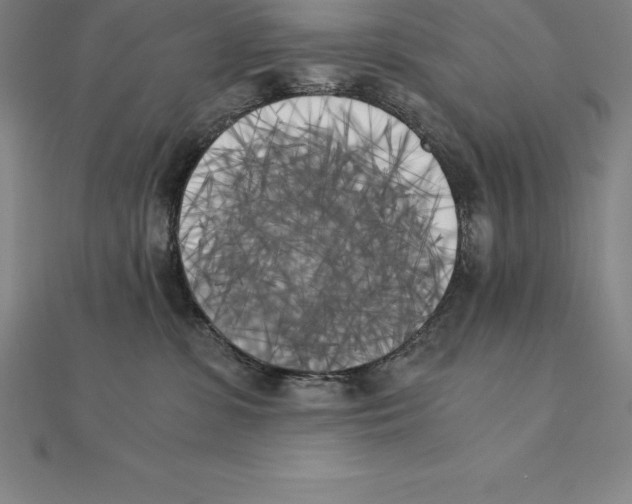 X0000110320331200906181828