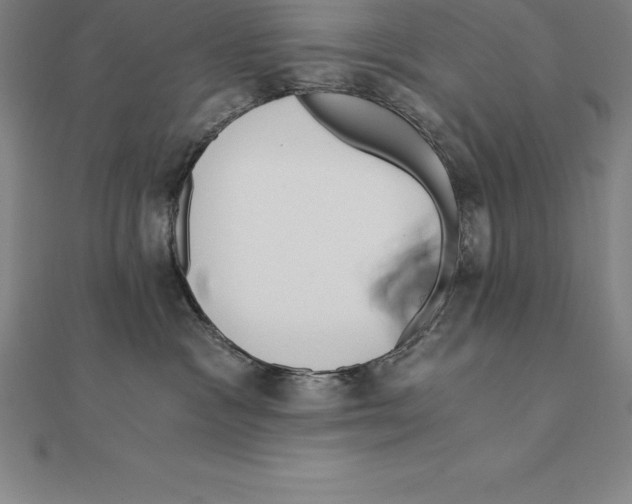 X0000110320333200906181828